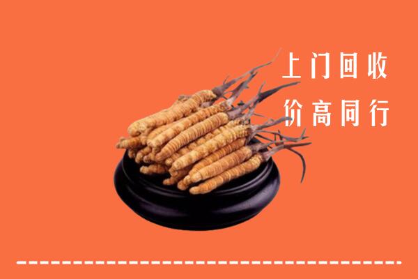 高价求购：伊春市金林区回收散虫草